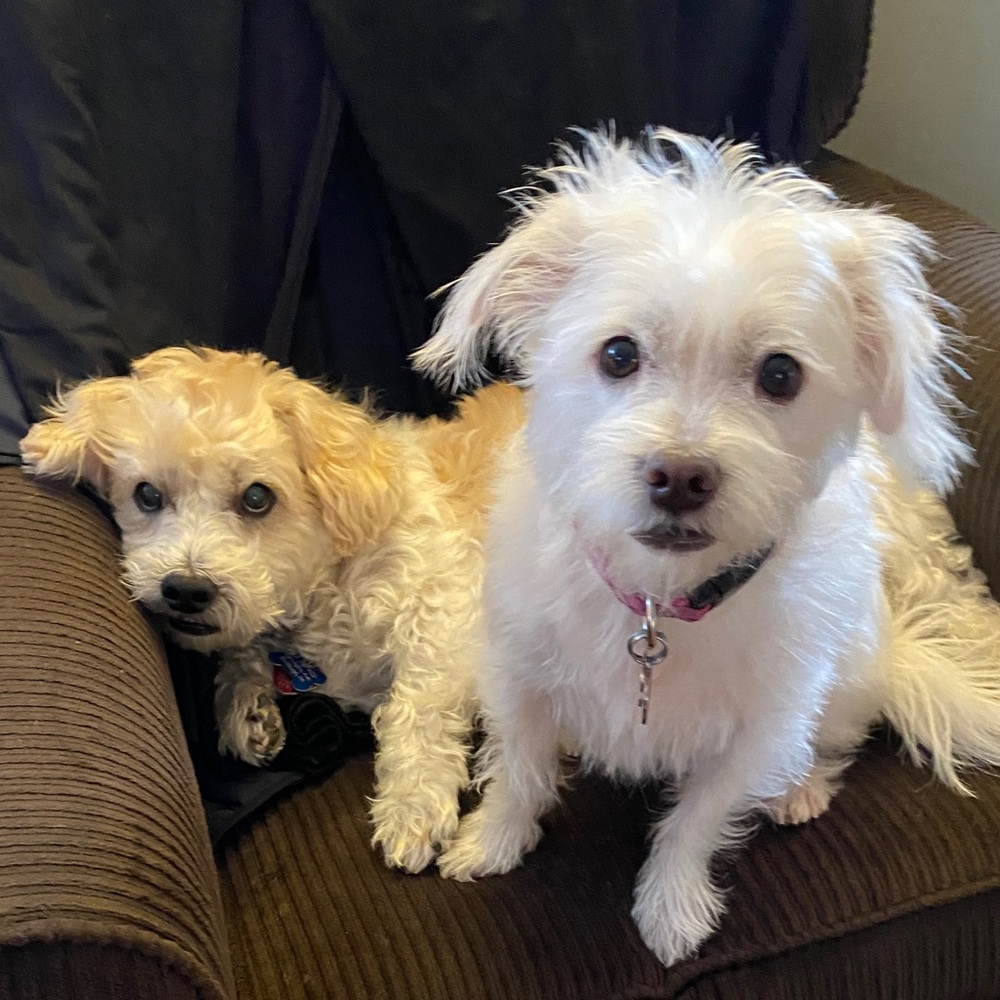 Meet your Posher, Nina